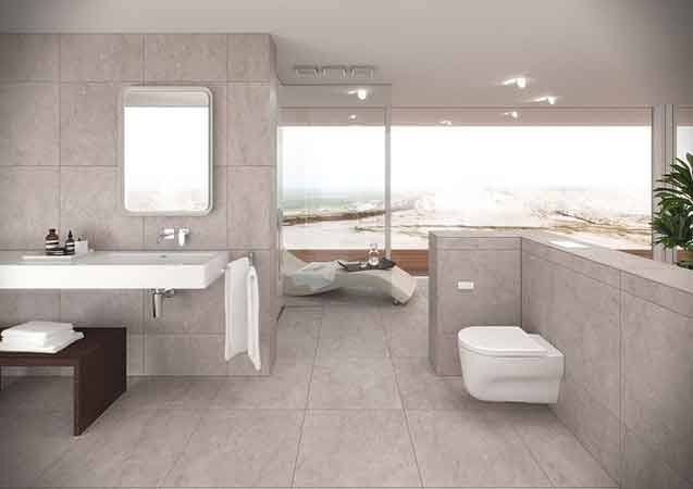 Remplacement d'un WC ancien par un modèle moderne